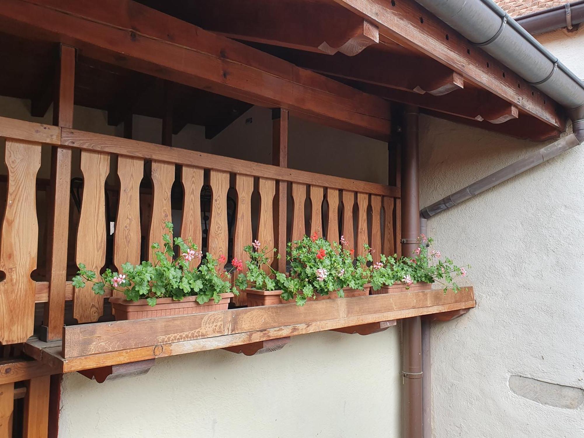Appartamenti Vacanze E Camere Roccetta Fiorita Pettenasco Habitación foto