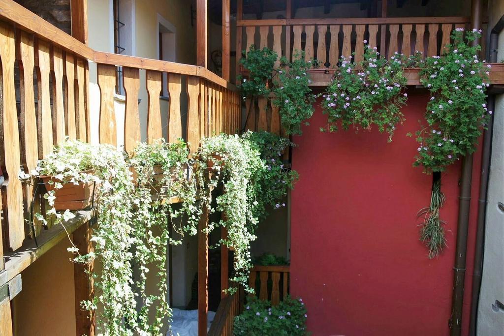 Appartamenti Vacanze E Camere Roccetta Fiorita Pettenasco Exterior foto